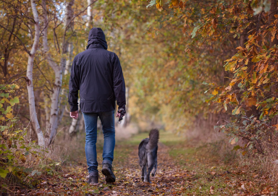 THE VERY BEST AUTUMN WALKS