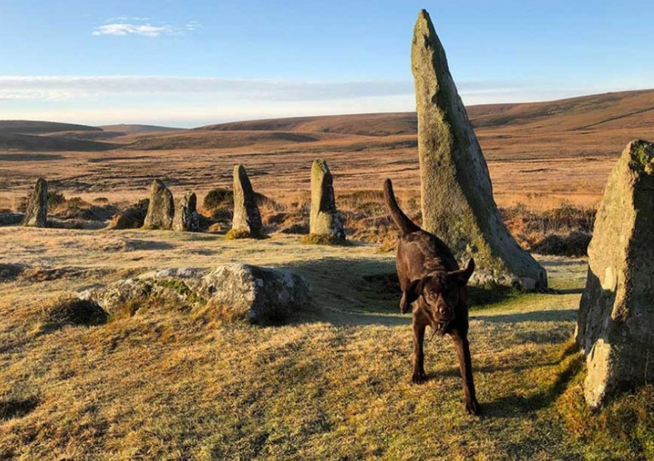 Scorhill Circle and Kestor Rock, Dartmoor