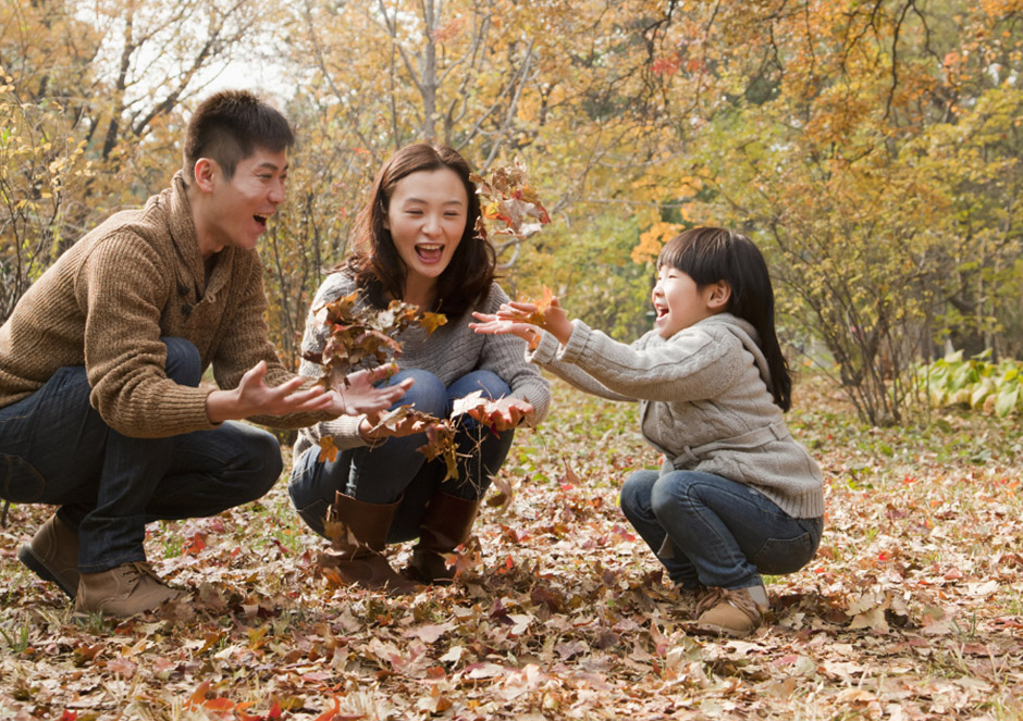 Autumn is here and the British countryside is alive!