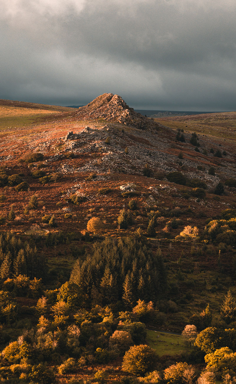 Dartmoor National Park