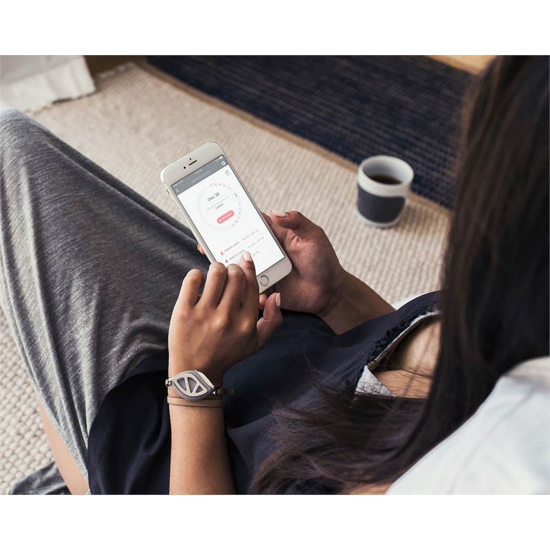 Bellabeat Leaf Urban Health Tracker-3