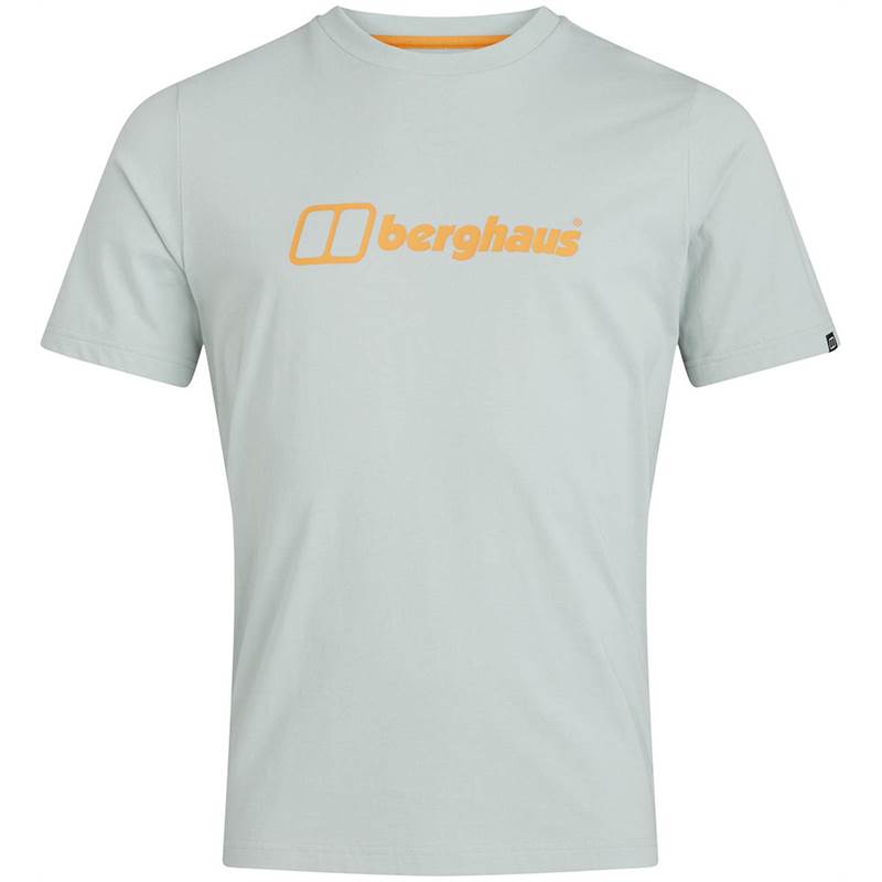 Berghaus Mens Organic Big Colour Logo T-Shirt-3