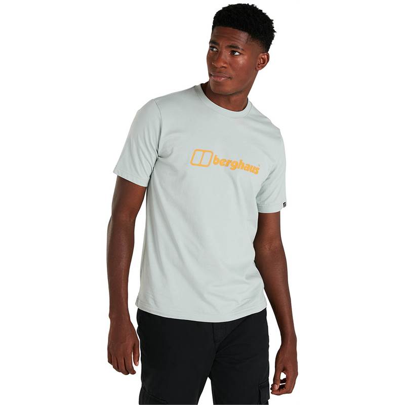 Berghaus Mens Organic Big Colour Logo T-Shirt-4