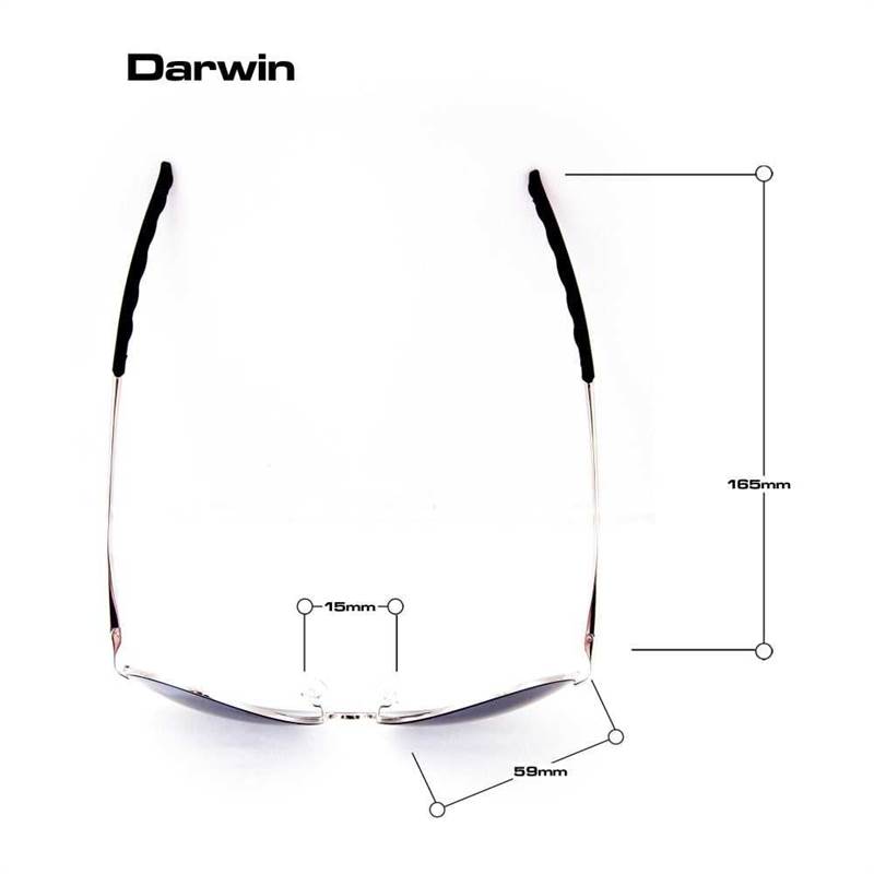 BLOC Darwin Sunglasses-2