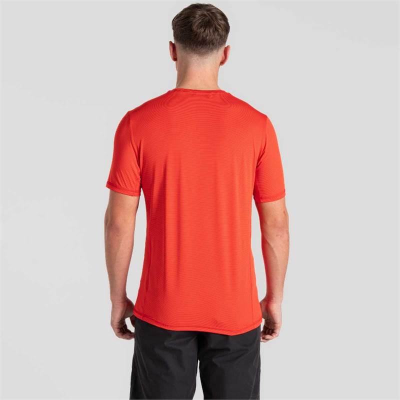 Craghoppers Mens Charon Short Sleeve T-Shirt-3