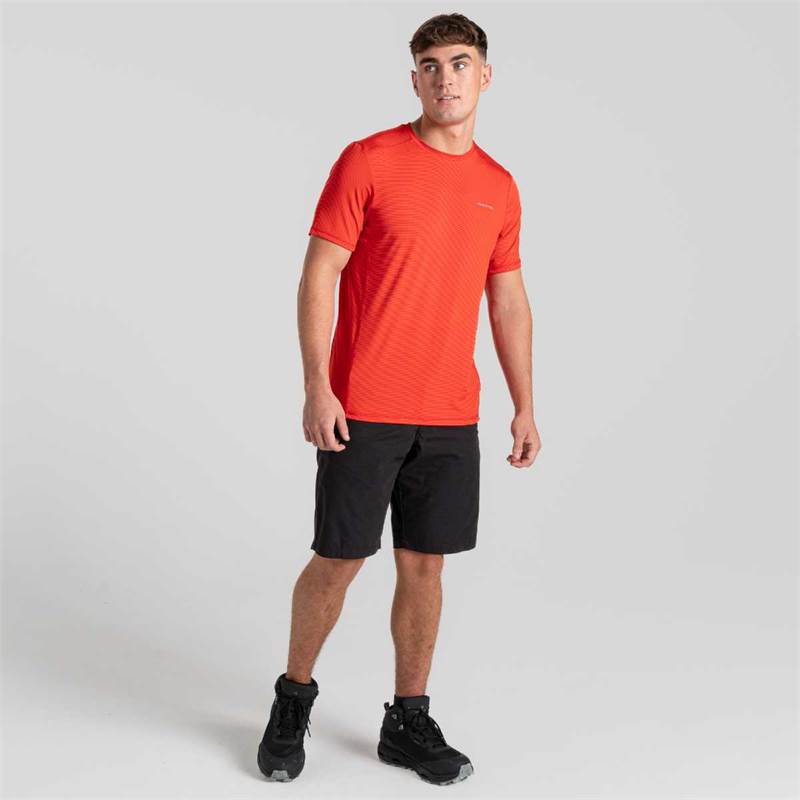 Craghoppers Mens Charon Short Sleeve T-Shirt-5