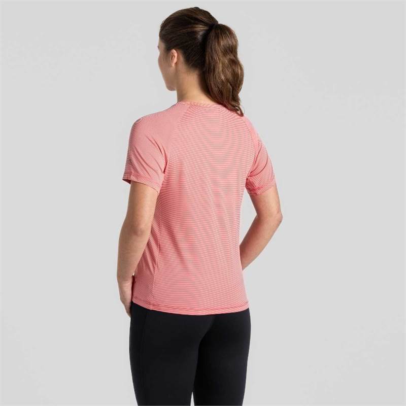 Craghoppers Womens Ellie Short Sleeved T-Shirt-3