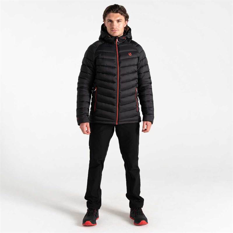 Dare2b Mens Torrek Baffled Jacket-4