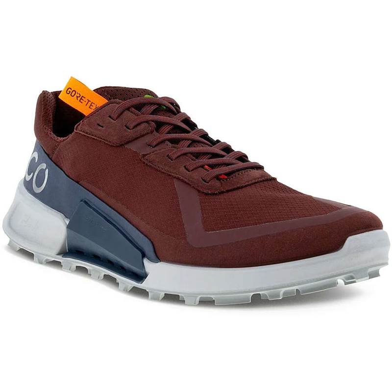 ECCO Mens Biom 2.1 X CTRY Low Gore-Tex Shoes-1