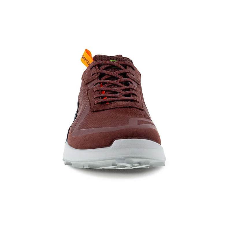 ECCO Mens Biom 2.1 X CTRY Low Gore-Tex Shoes-3