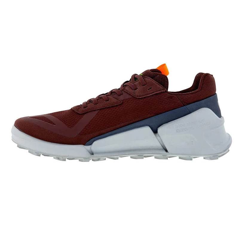 ECCO Mens Biom 2.1 X CTRY Low Gore-Tex Shoes-5