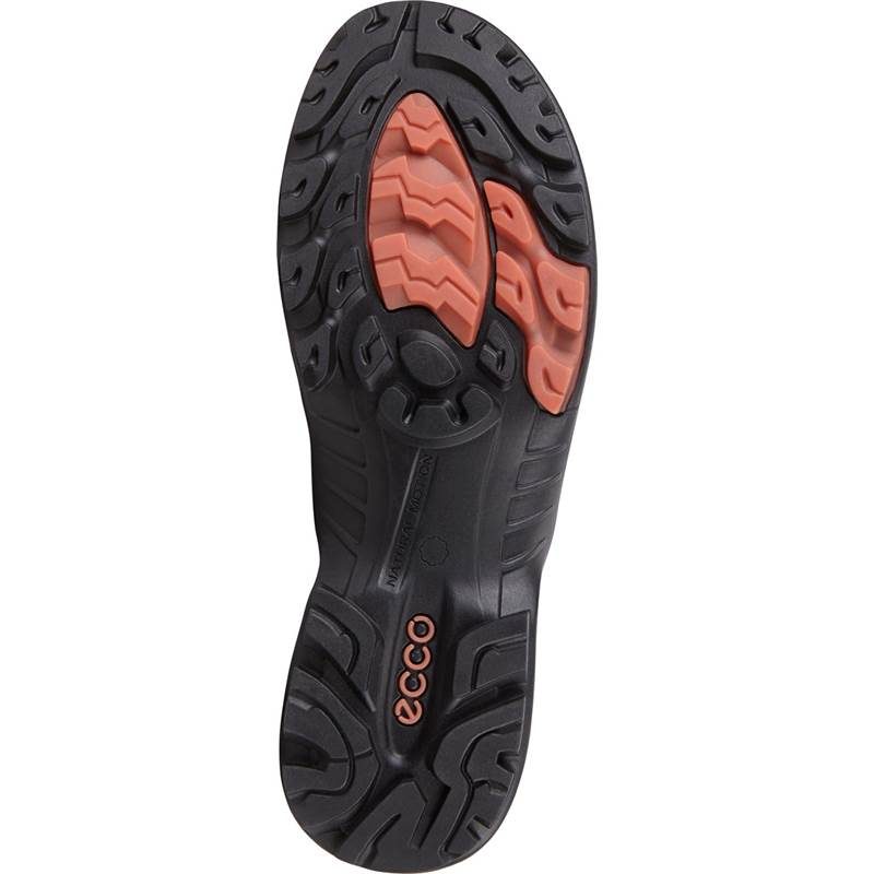 ECCO Womens Biom Terrain Waterproof Hiking Boots-5