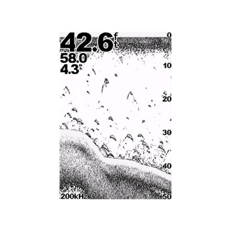 Garmin Echo 200 FishFinder-4