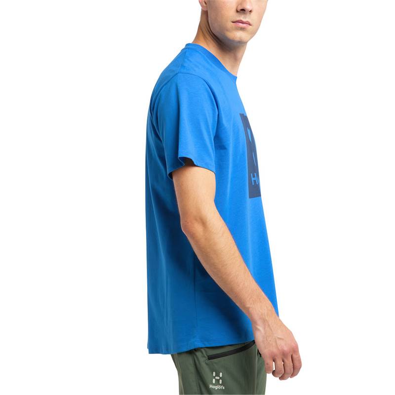 Haglofs Mens Camp Tee-5