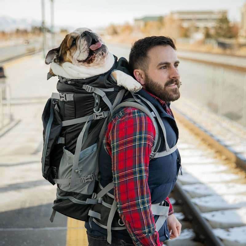 K9 Sport Sack Kolossus Dog Backpack-1
