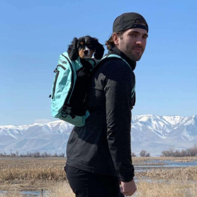 K9 Sport Sack Plus 2 Dog Backpack-5