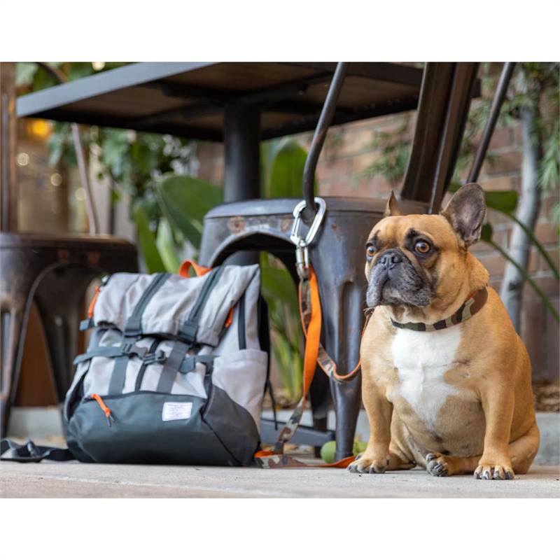 K9 Sport Sack Urban 3 Dog Backpack-5