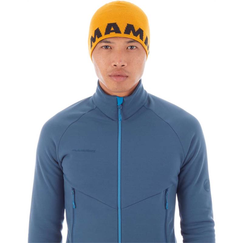 Mammut Logo Beanie Hat-3