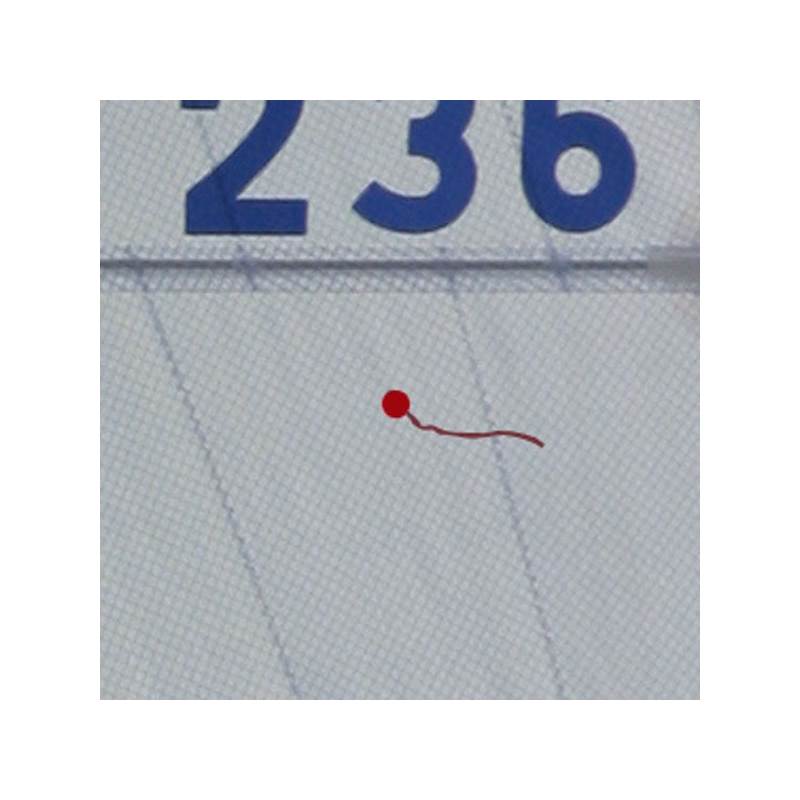 Tell Tails and Streamers-1
