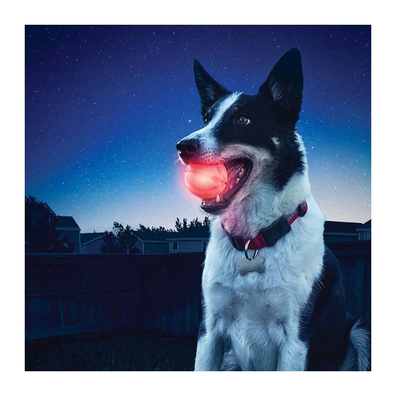 Nite Ize GlowStreak LED Dog Ball-2