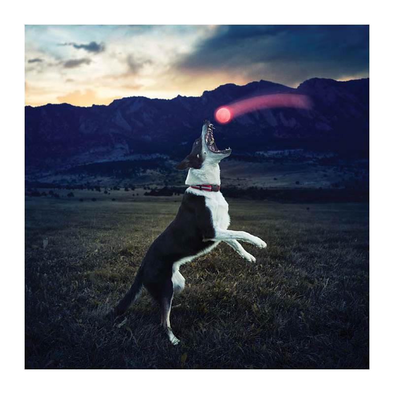 Nite Ize GlowStreak LED Dog Ball-3