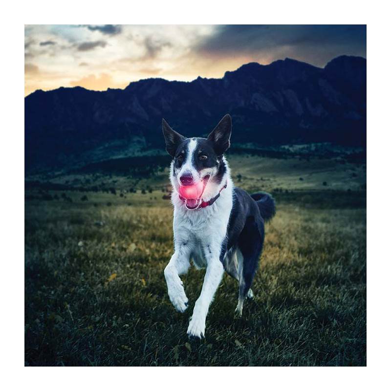 Nite Ize GlowStreak LED Dog Ball-4
