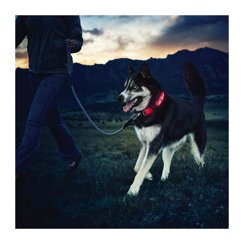 Nite Ize Nite Dawg LED Collar-5