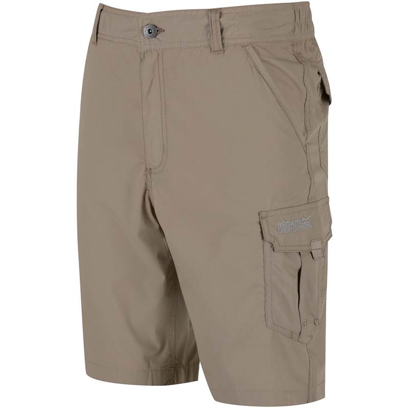 Regatta Mens Delph Shorts-1
