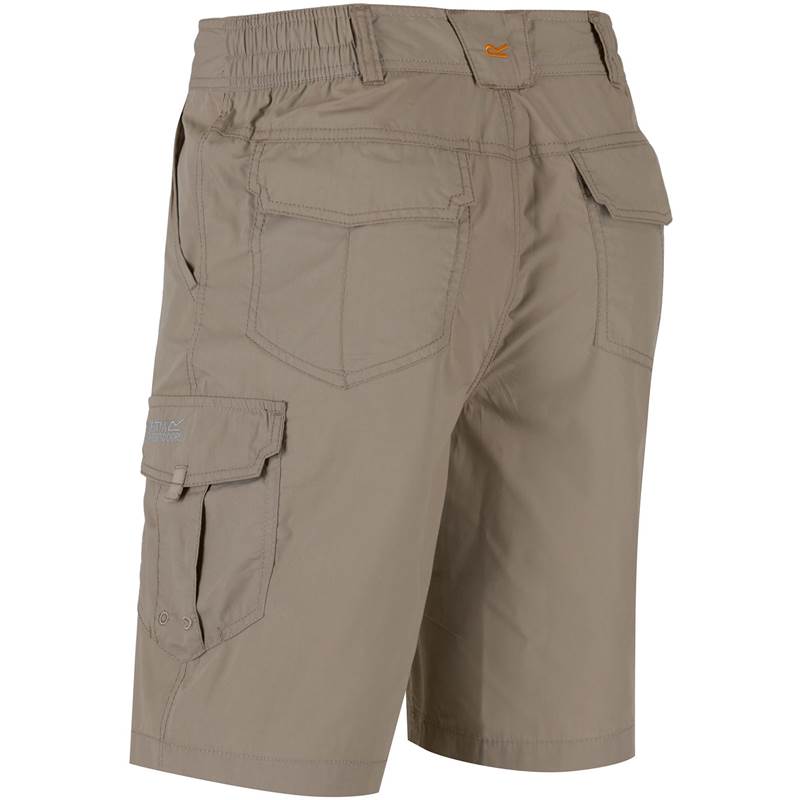 Regatta Mens Delph Shorts-2