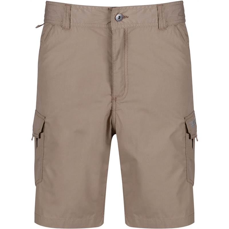 Regatta Mens Delph Shorts-3