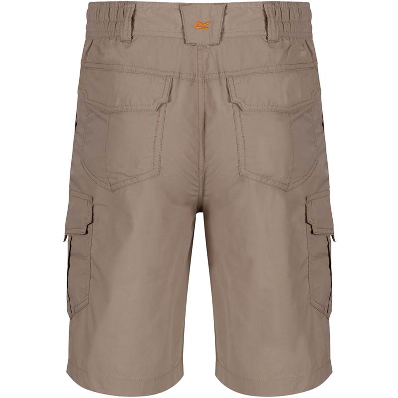 Regatta Mens Delph Shorts-4