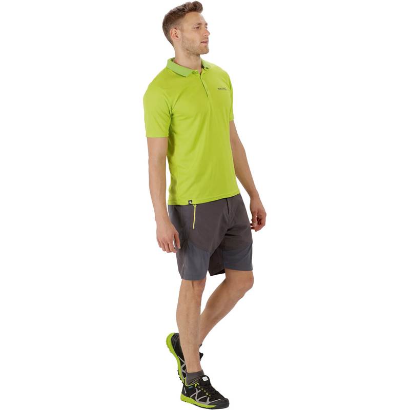 Regatta Mens Sungari Shorts-5