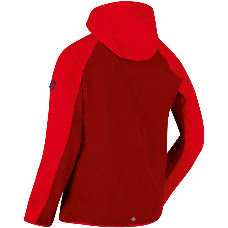 Regatta Mens Arec II Hooded Softshell Jacket-2