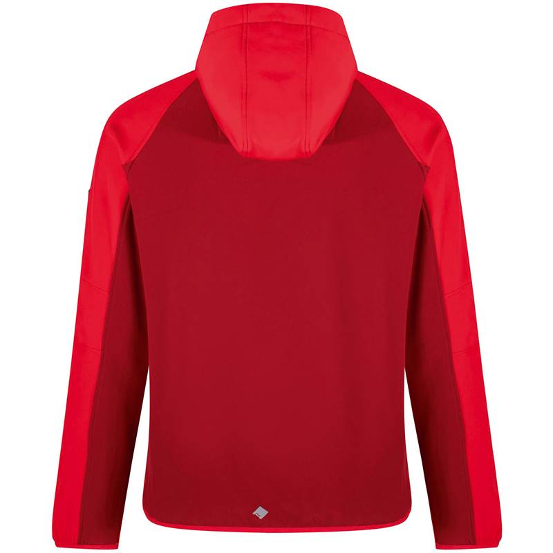 Regatta Mens Arec II Hooded Softshell Jacket-4