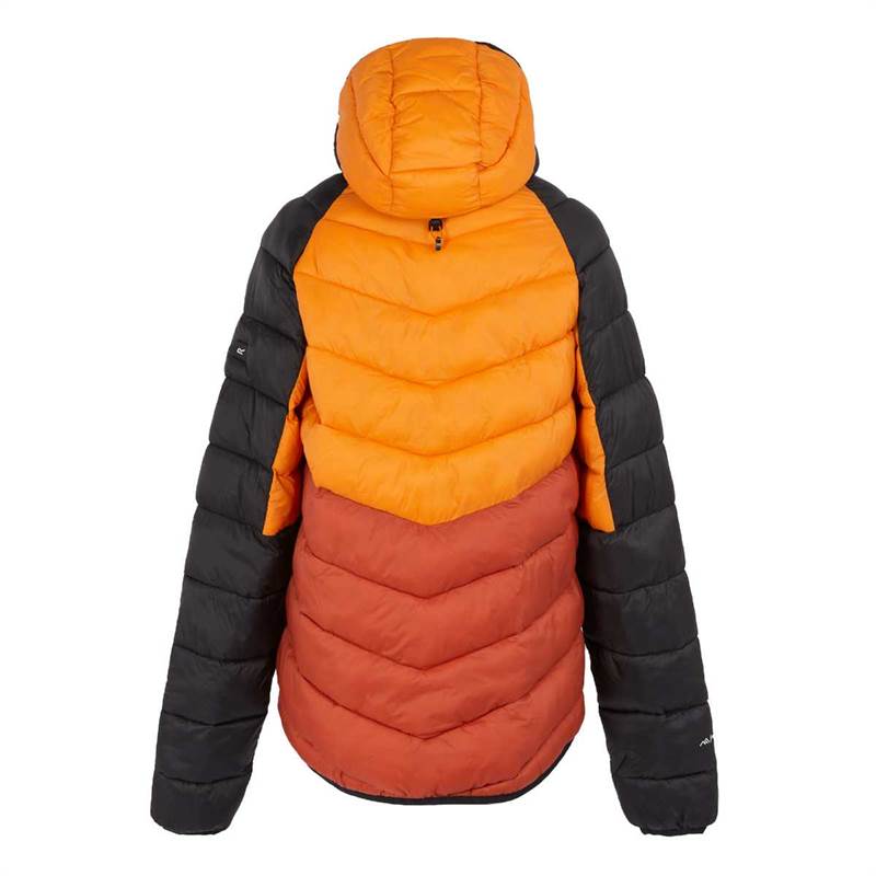 Regatta Mens Dalent Insulated Hooded Jacket-2