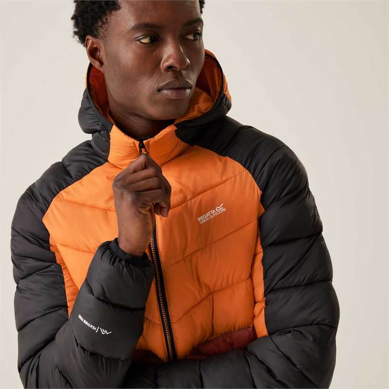 Regatta Mens Dalent Insulated Hooded Jacket-4