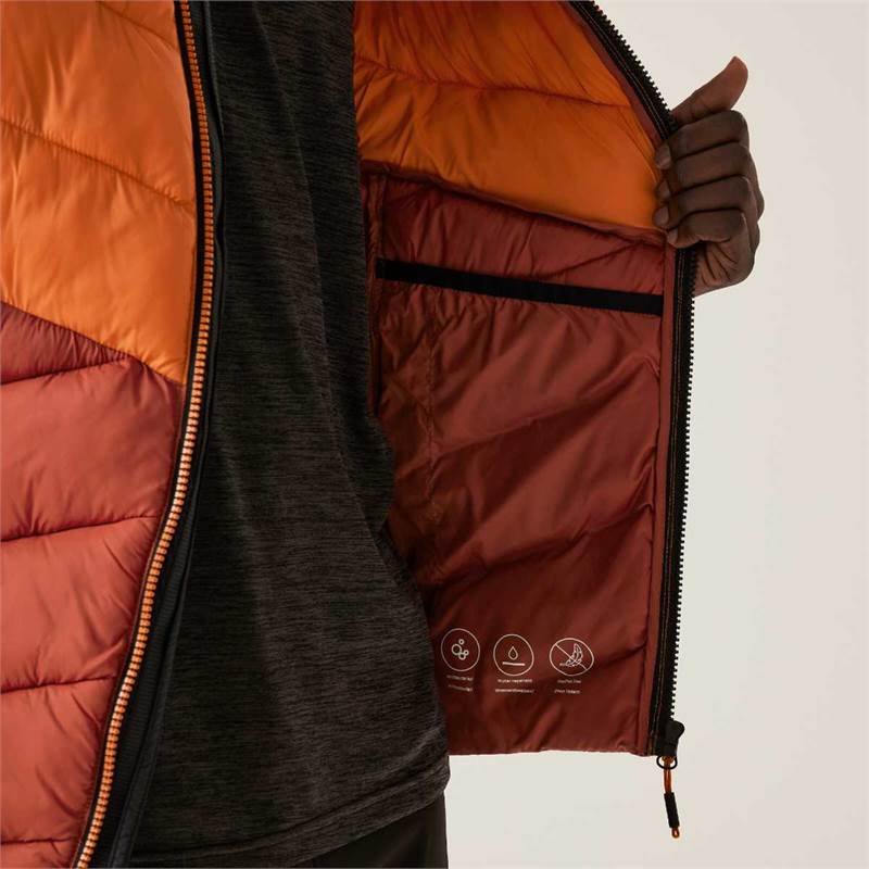 Regatta Mens Dalent Insulated Hooded Jacket-5