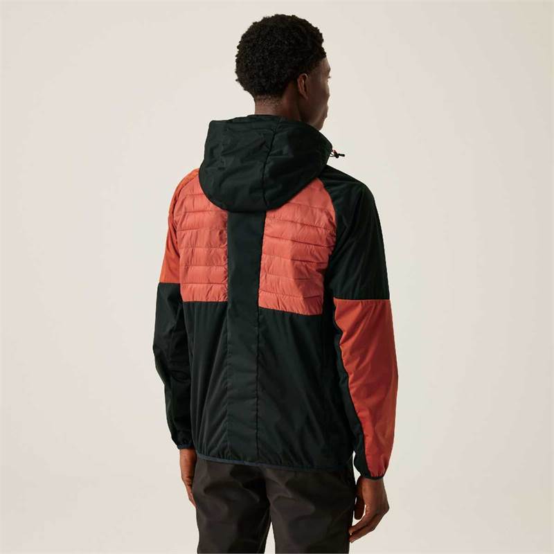 Regatta Mens Pro Hybrid Jacket-4