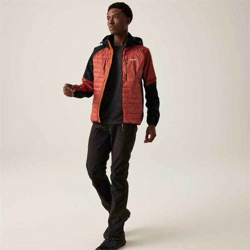 Regatta Mens Pro Hybrid Jacket-5