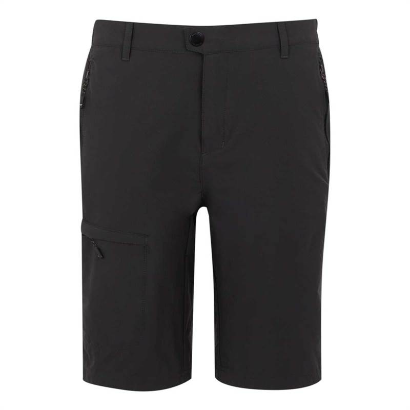 Regatta Mens Highton Shorts Long II-1