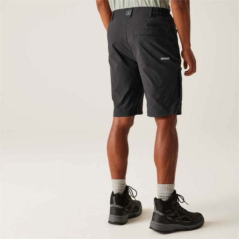 Regatta Mens Highton Shorts Long II-5