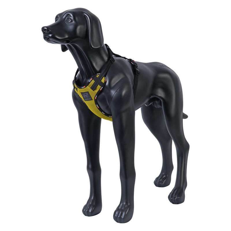 Rukka Pets Bliss Eco Dog Harness-2