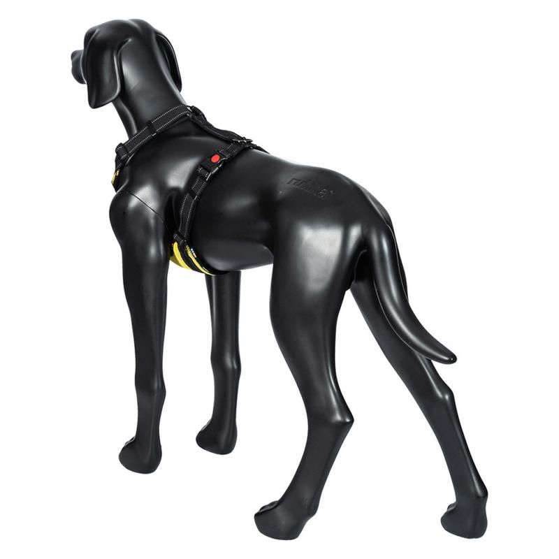 Rukka Pets Bliss Eco Dog Harness-3