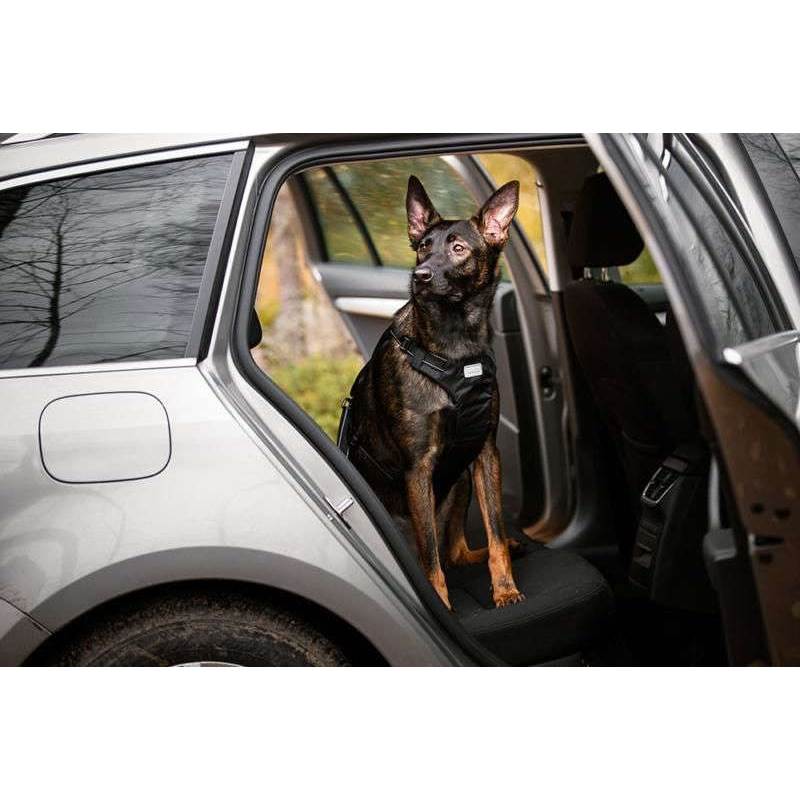Rukka Pets Car Dog Harness-2