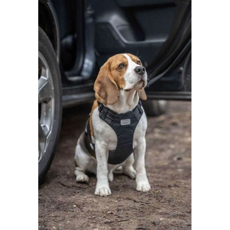 Rukka Pets Car Dog Harness-3