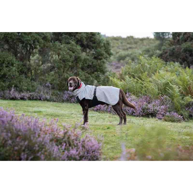 Rukka Pets Shine Dog Raincoat-5