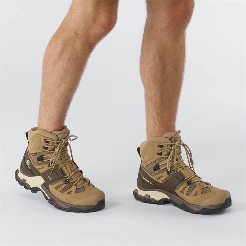 salomon men's quest 4 gtx boot