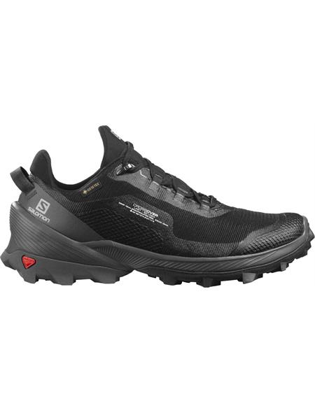 Salomon Womens Cross Over GTX Hiking Shoes