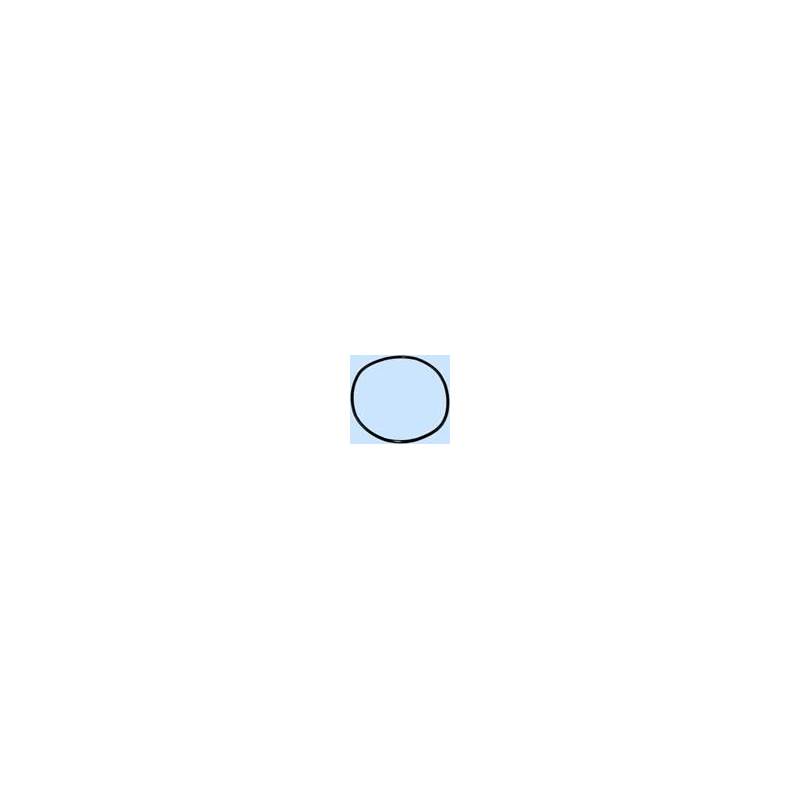 Replacement Main O-Ring for Sealife Cameras-2