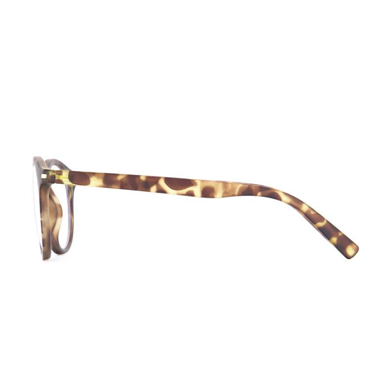 Sinner Patnem Sunglasses-5